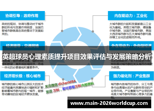 英超球员心理素质提升项目效果评估与发展策略分析 英超球员心理素质提升项目效果评估与发展策略分析
