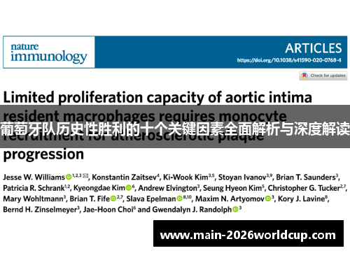葡萄牙队历史性胜利的十个关键因素全面解析与深度解读