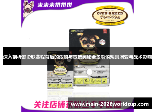 深入剖析欧协联赛程背后的逻辑与竞技奥秘全景解读规则演变与战术影响