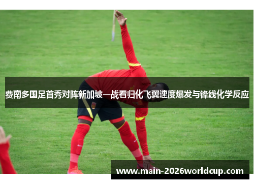 费南多国足首秀对阵新加坡一战看归化飞翼速度爆发与锋线化学反应
