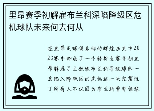 里昂赛季初解雇布兰科深陷降级区危机球队未来何去何从 里昂赛季初解雇布兰科深陷降级区危机球队未来何去何从